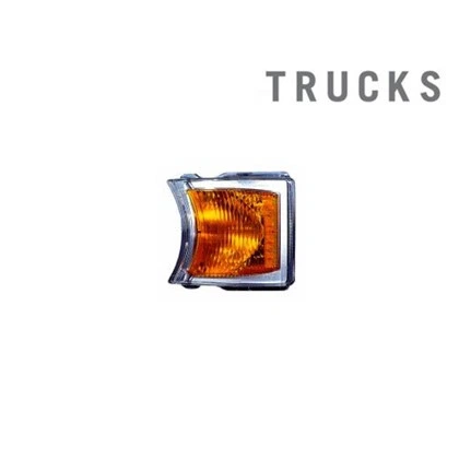SCANIA 1747981 CORNER LAMP WITH SOCKET